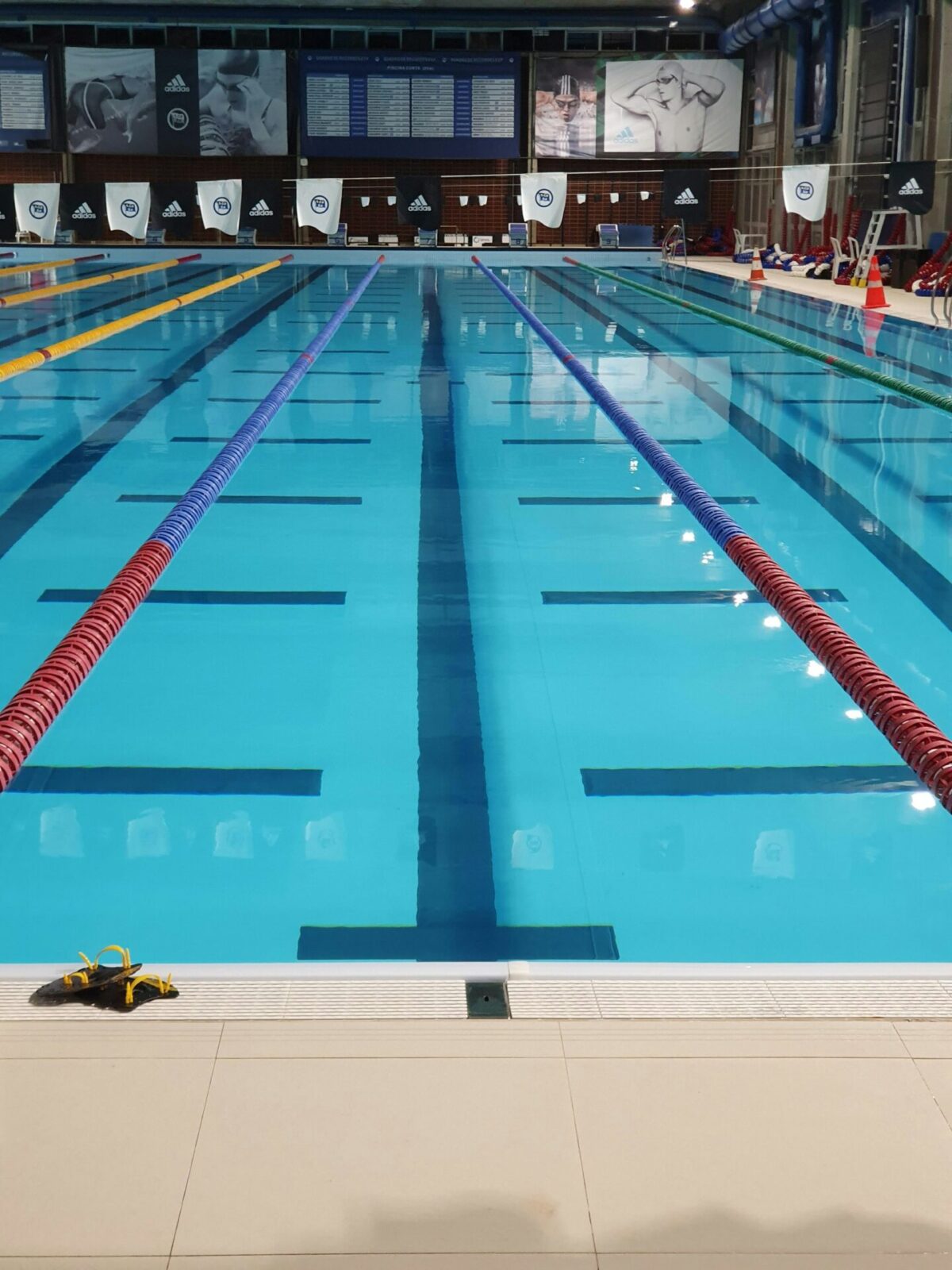 Indoor swimming pool with lane ropes and clear water